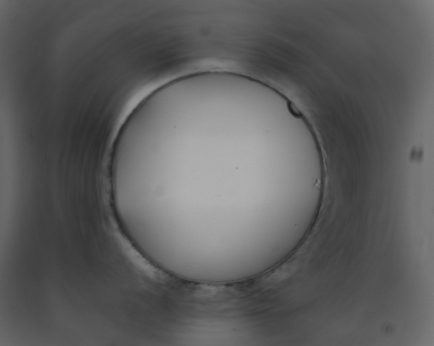 X0000092241056200710051235