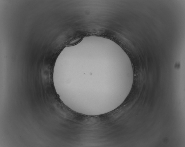 X0000092241058200710051234