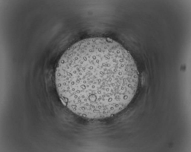 X0000092241059200710051234