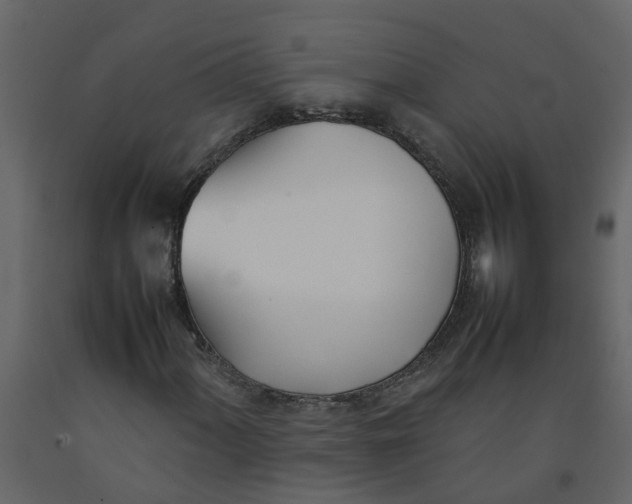 X0000092241060200710051234