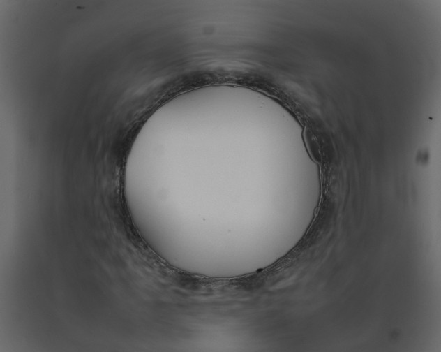 X0000092241061200710051234