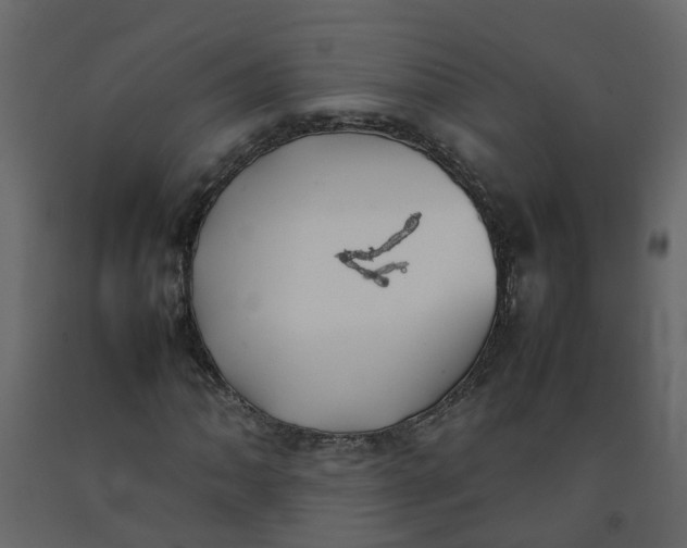 X0000092241062200710051234