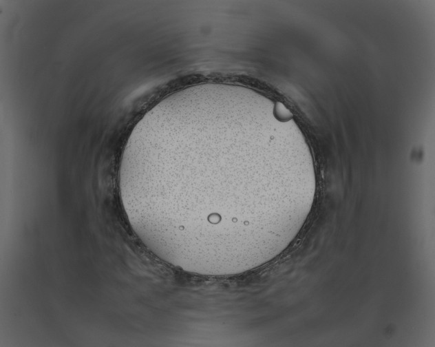 X0000092241063200710051234