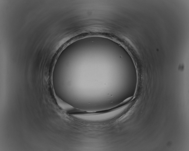 X0000092241065200710051234