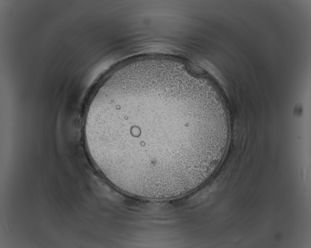 X0000092241067200710051234