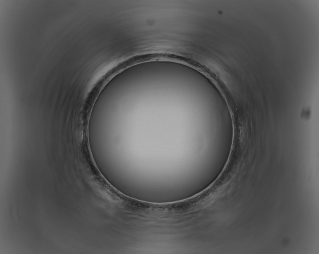 X0000092241069200710051234