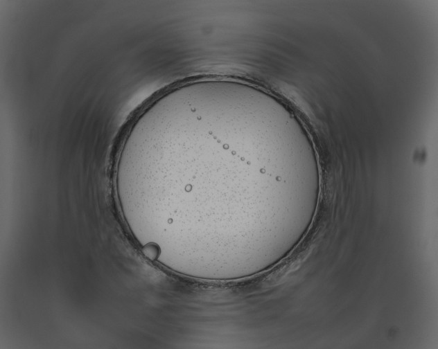 X0000092241071200710051234