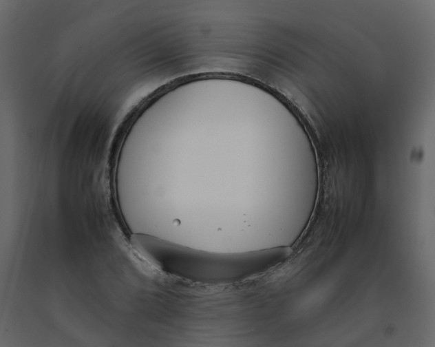 X0000092241072200710051234