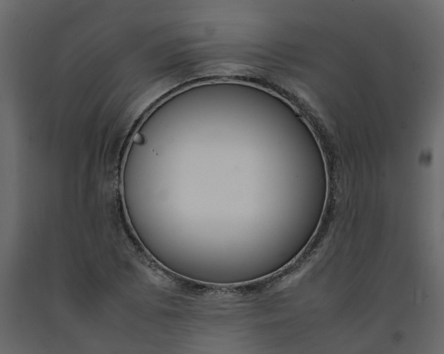 X0000092241073200710051234