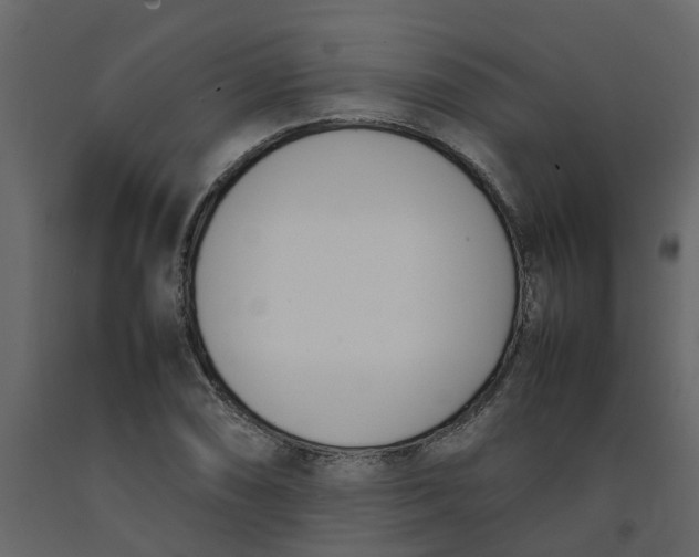 X0000092241074200710051234