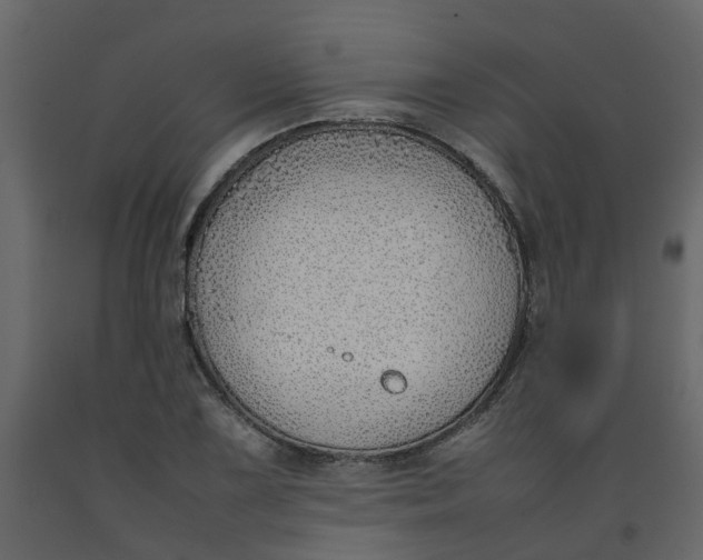 X0000092241075200710051234