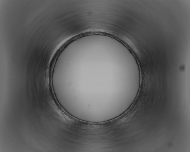 X0000092241076200710051234