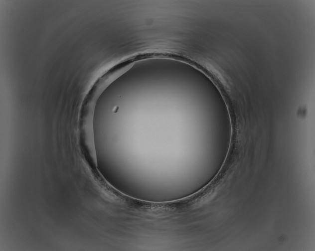 X0000092241077200710051234