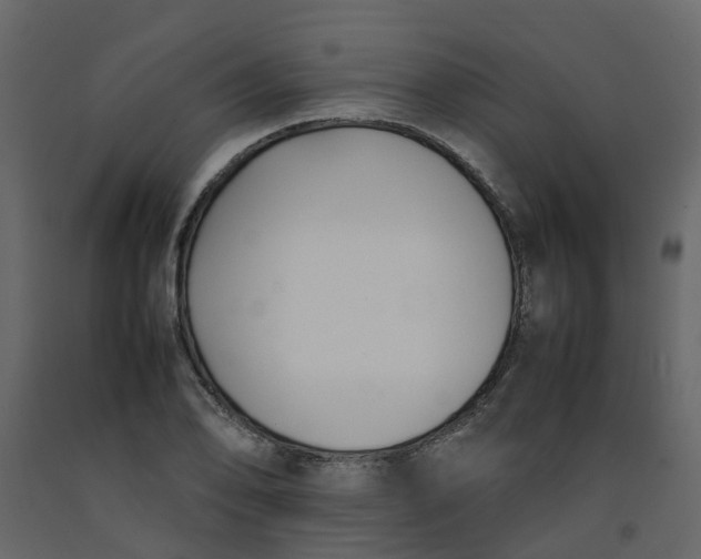 X0000092241078200710051234