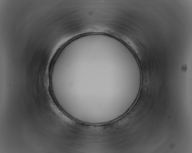 X0000092241080200710051234