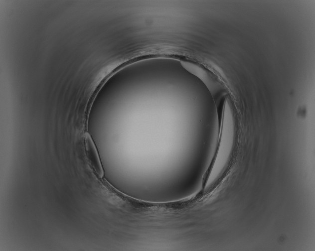 X0000092241081200710051234