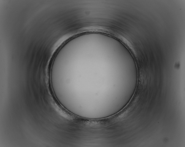 X0000092241082200710051234