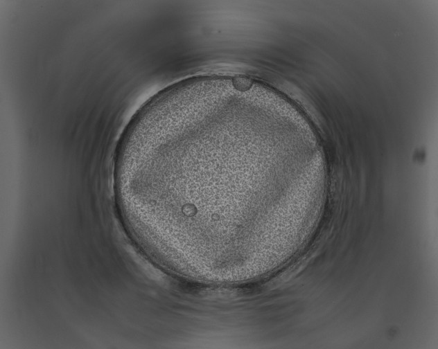 X0000092241083200710051234