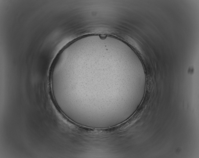 X0000092241087200710051234