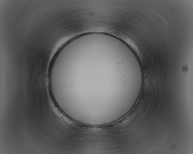 X0000092241088200710051234