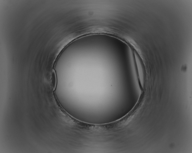 X0000092241089200710051234