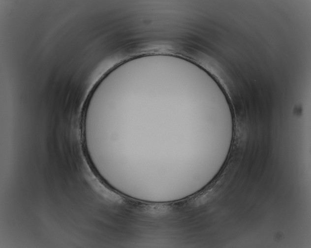 X0000092241090200710051234