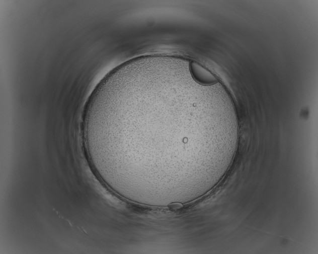 X0000092241091200710051234