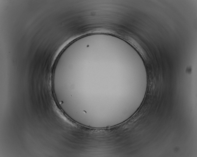 X0000092241092200710051234