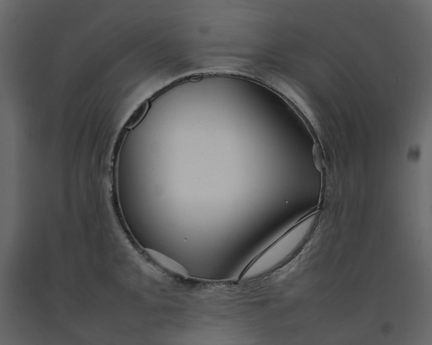 X0000092241093200710051234