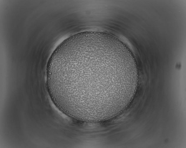 X0000092241095200710051234