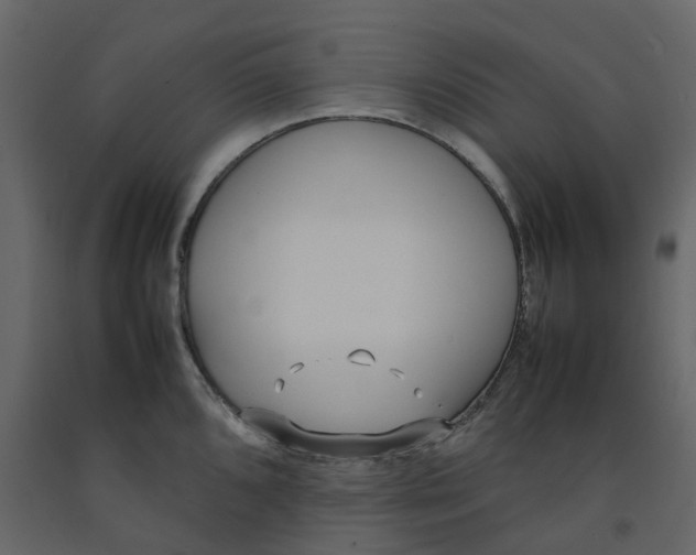 X0000092241096200710051234