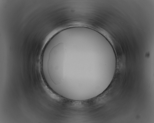 X0000092241098200710051234