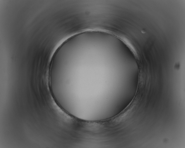 X0000092241100200710051234