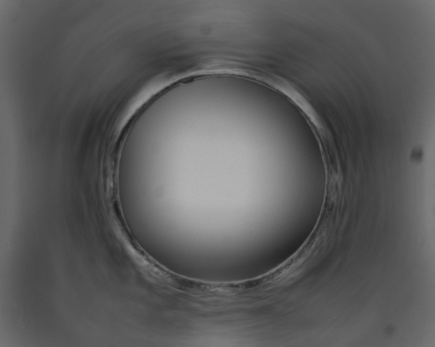 X0000092241101200710051234