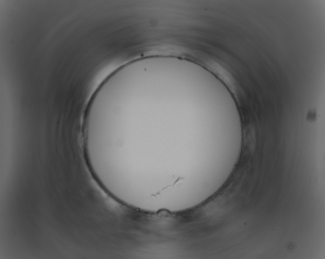 X0000092241103200710051233