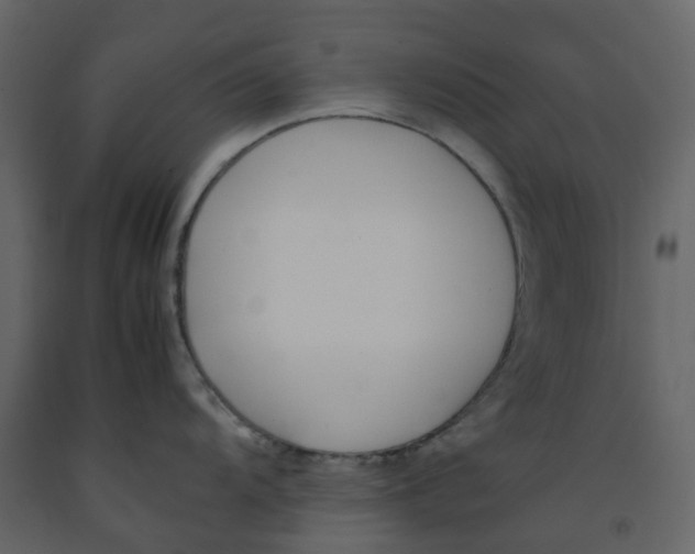 X0000092241104200710051233