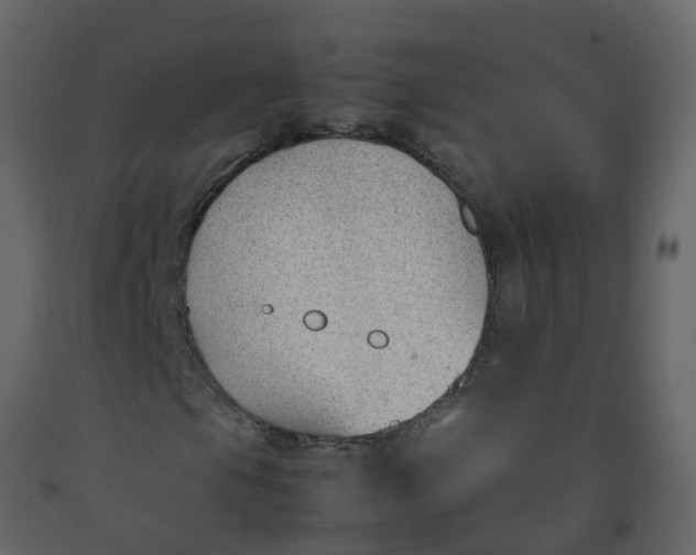 X0000092241105200710051233