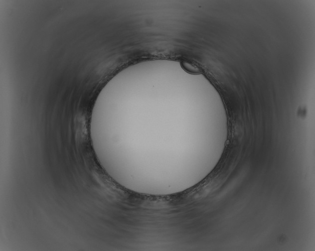 X0000092241106200710051233