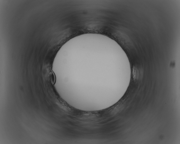 X0000092241107200710051233