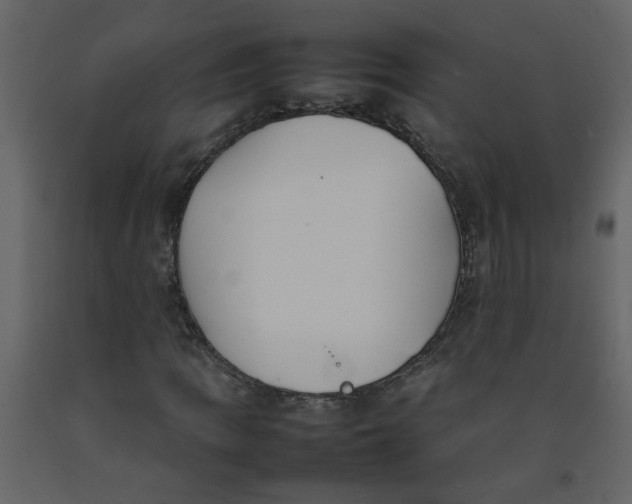 X0000092241109200710051233