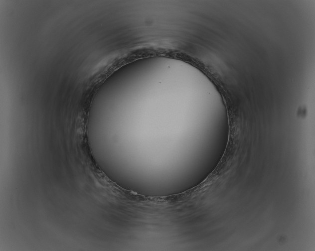 X0000092241110200710051233