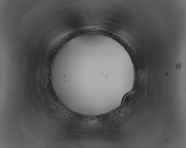 X0000092241111200710051233