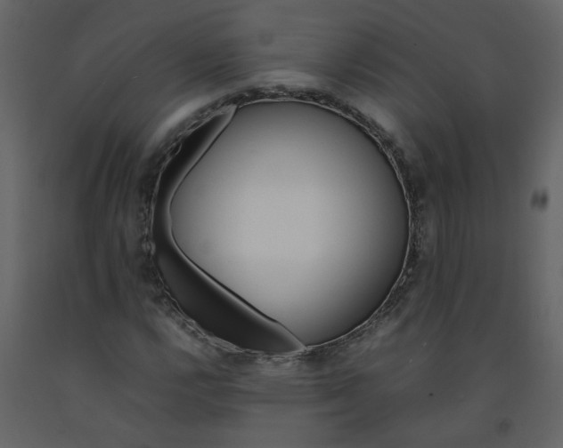 X0000092241112200710051233