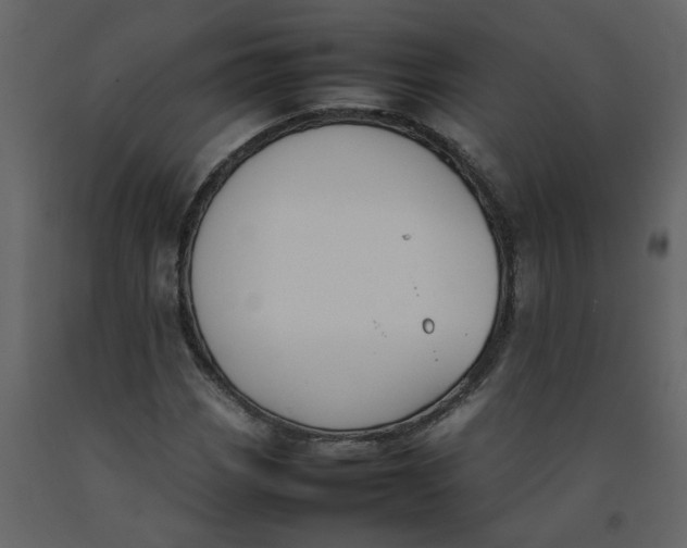 X0000092241113200710051233