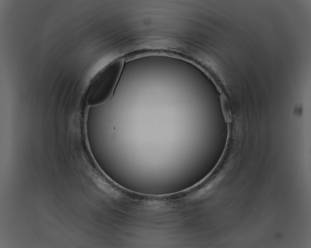 X0000092241114200710051233