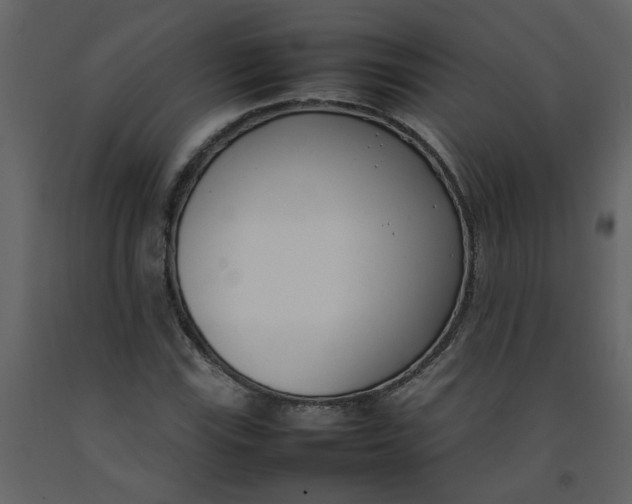 X0000092241115200710051233