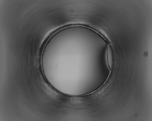 X0000092241116200710051233