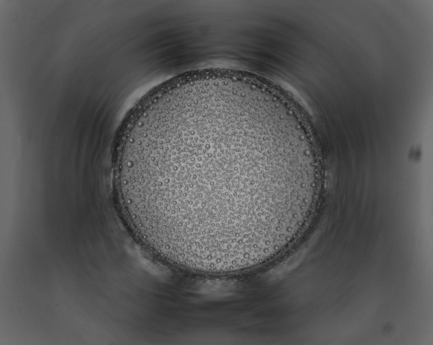 X0000092241117200710051233