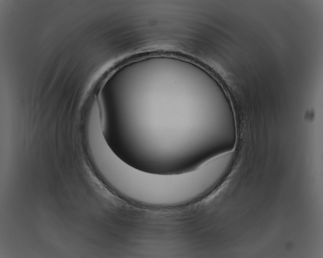 X0000092241118200710051233