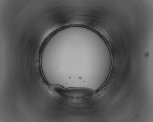 X0000092241119200710051233